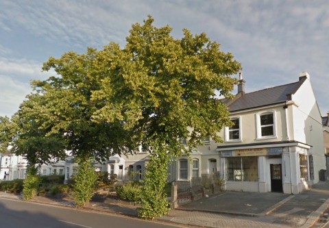 Wilton Street, Millbridge, PL1 5LT -  &#163;230,000.00   Guide Price